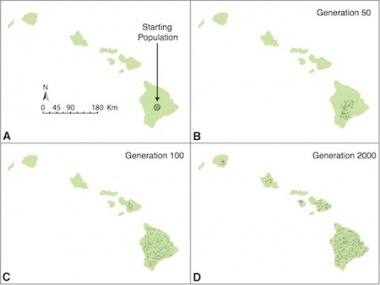 Example of DIM SUM simulation on the Hawaiian islands